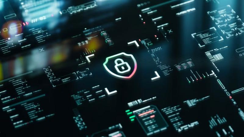 绍兴县软件开发公司
